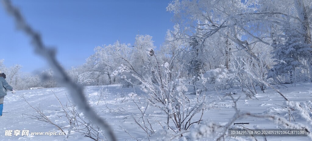 雪景