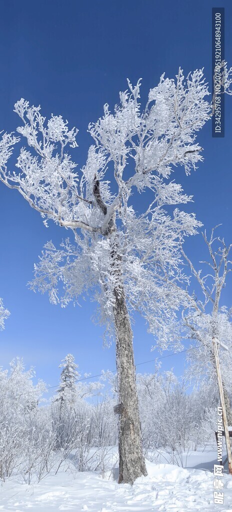 雪景