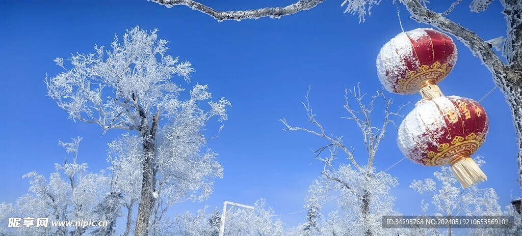 雪景