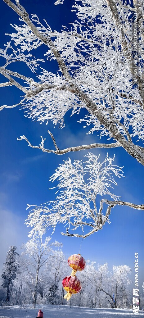 雪景