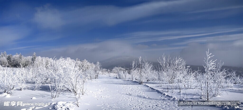 雪景