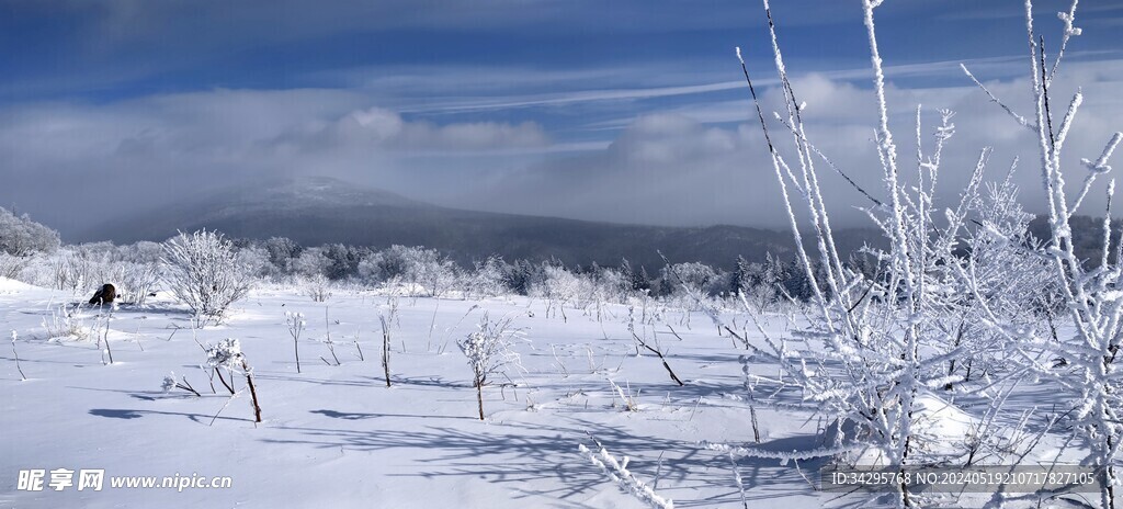 雪景