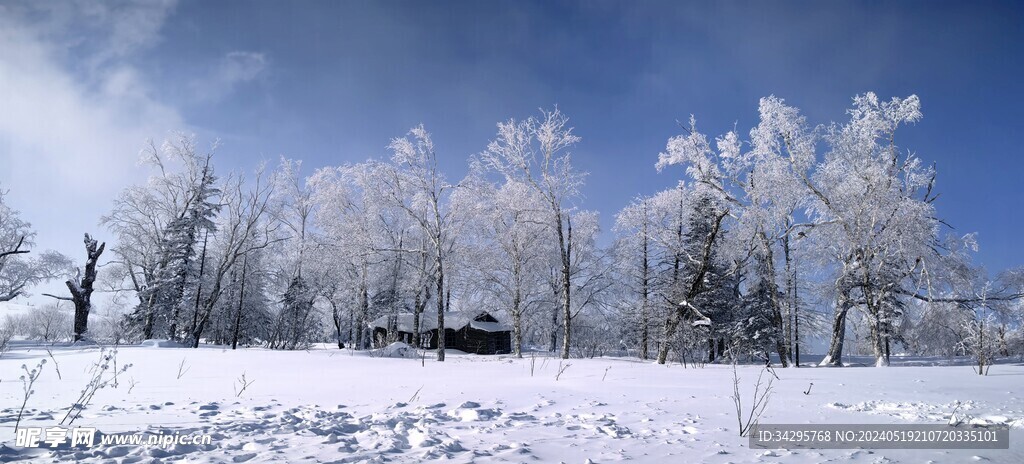 雪景