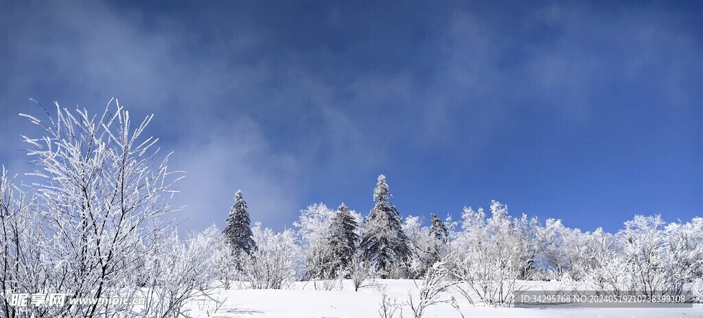 雪景