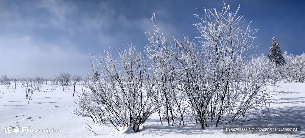 雪景