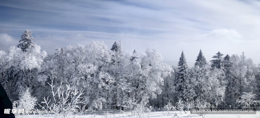 雪景