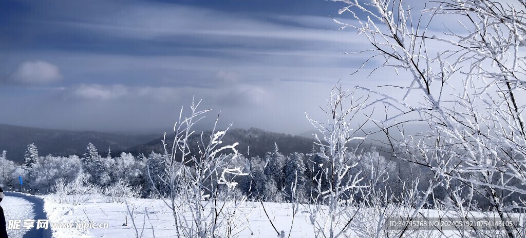 雪景