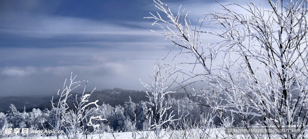 雪景