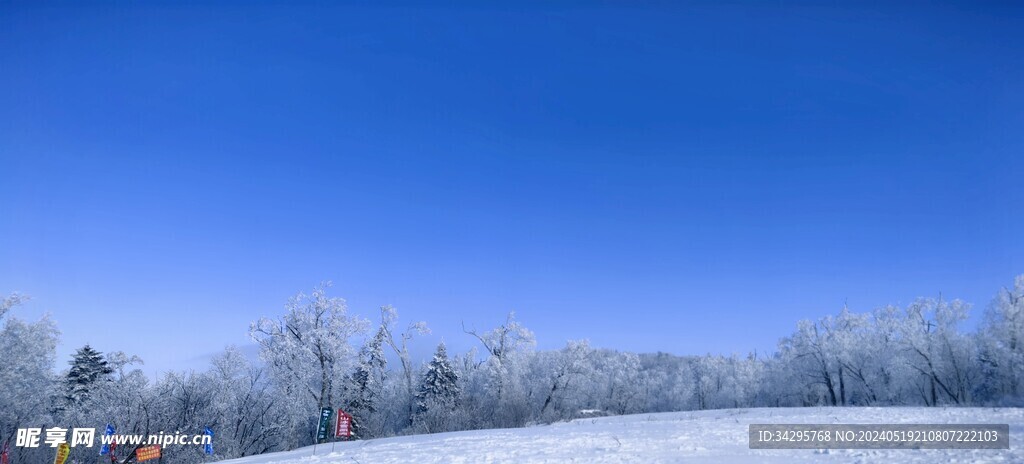 雪景