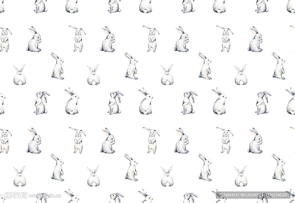 兔子  