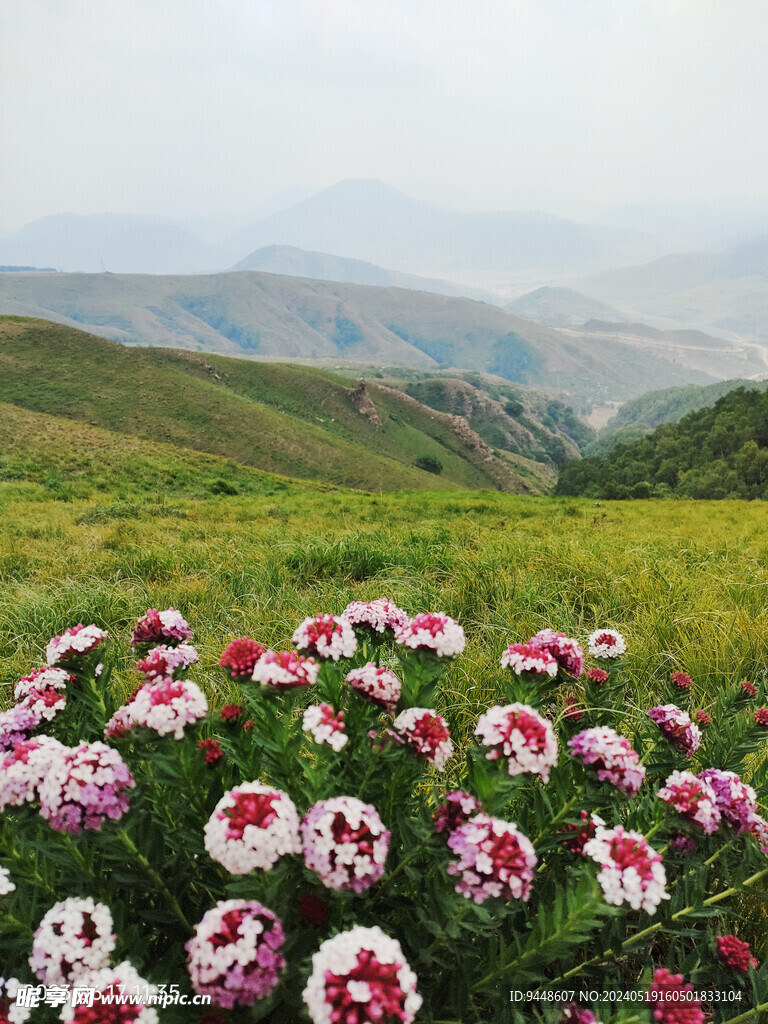 草原风景