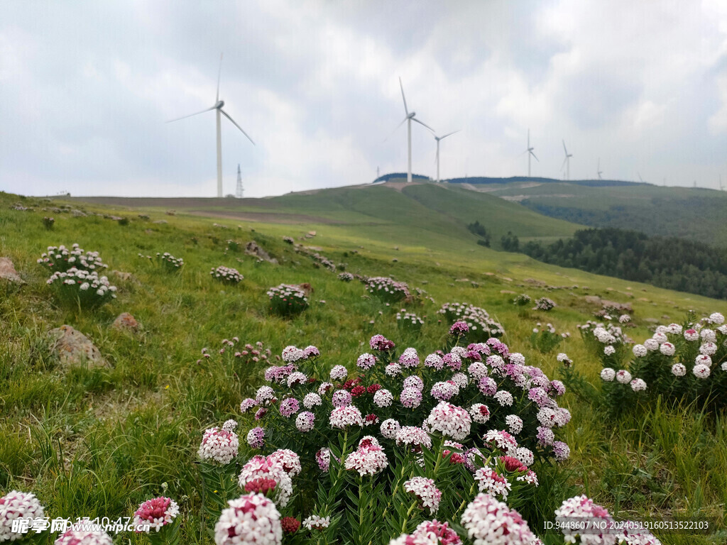 草原风景