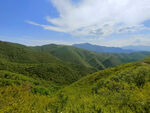 草原风景