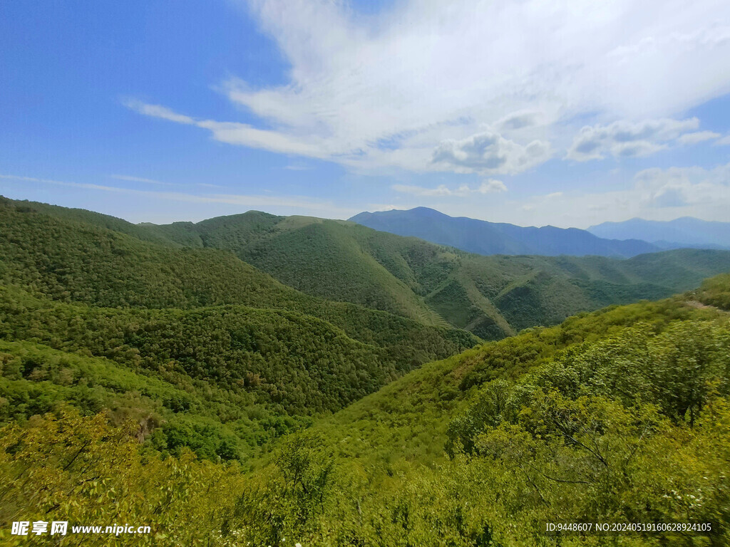 草原风景