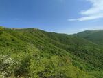 草原风景