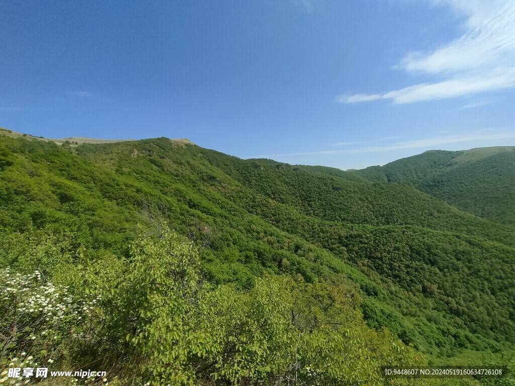 草原风景