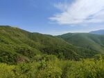 草原风景