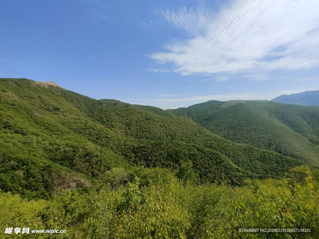 草原风景