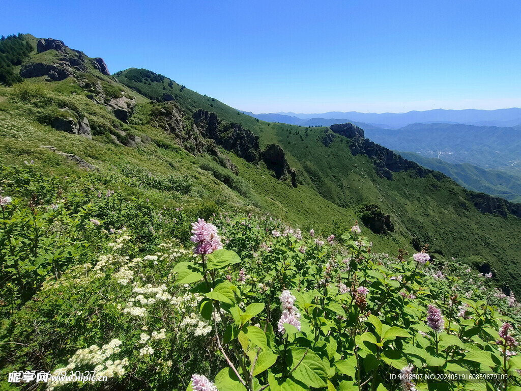 草原风景