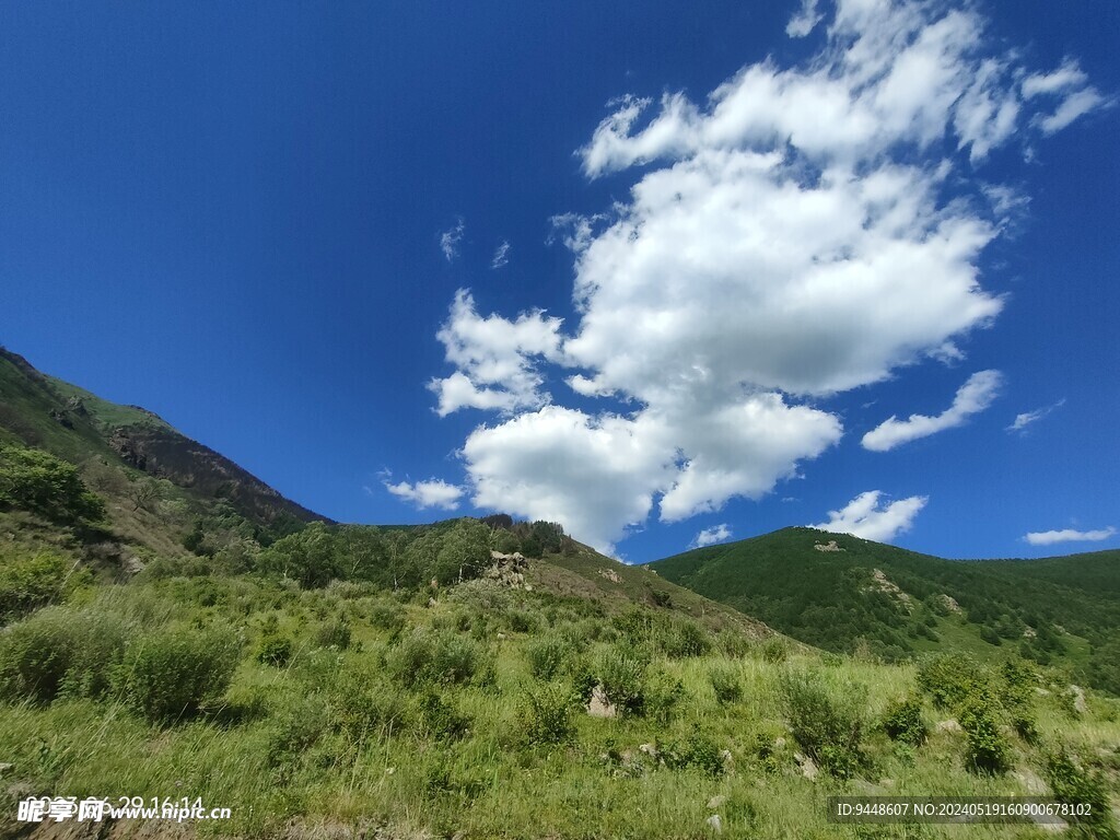 草原风景