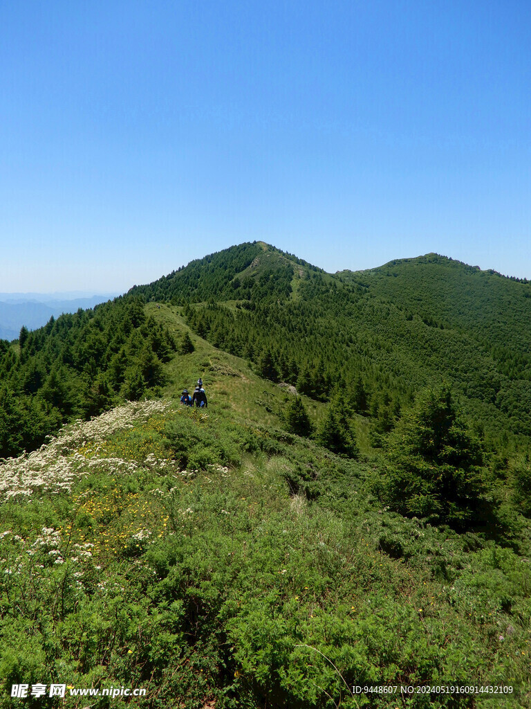 草原风景