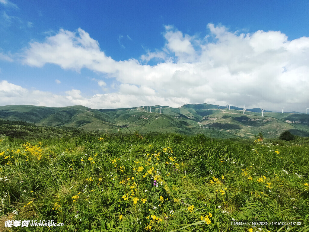 草原风景