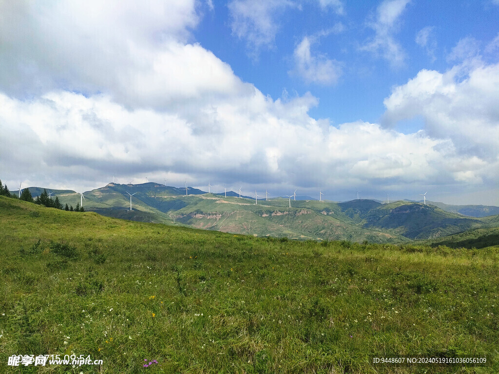 草原风景