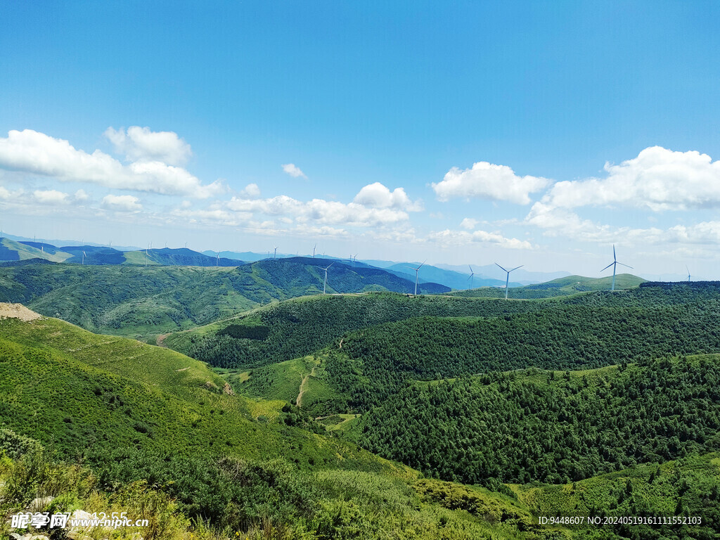 草原风景