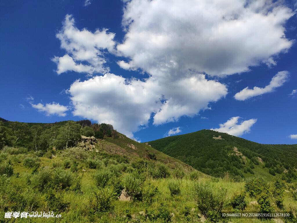 草原风景