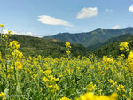草原风景
