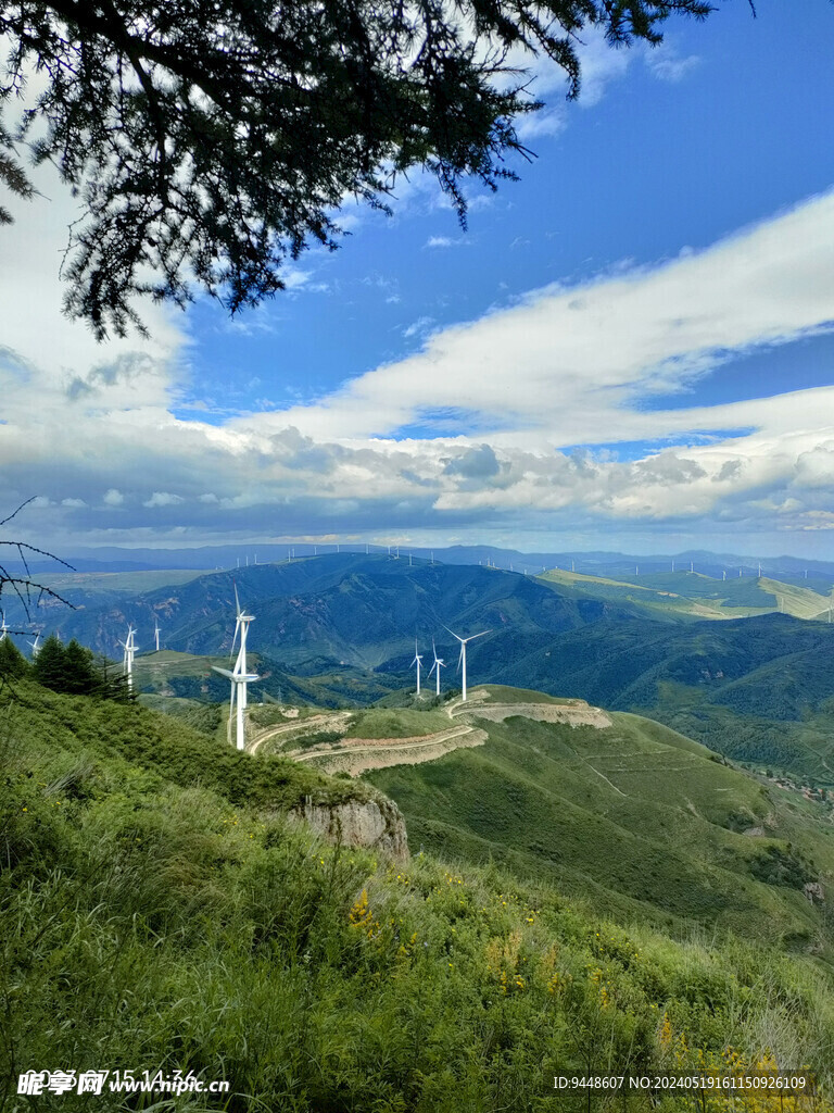 草原风景