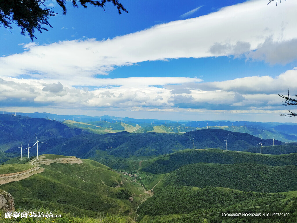 草原风景