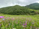 草原风景