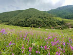 草原风景
