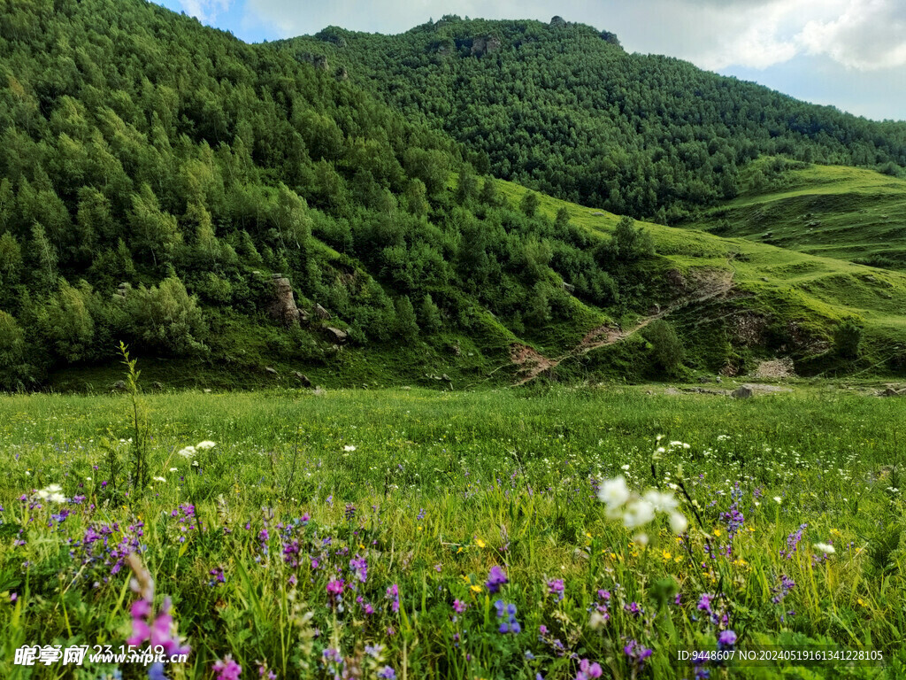 草原风景