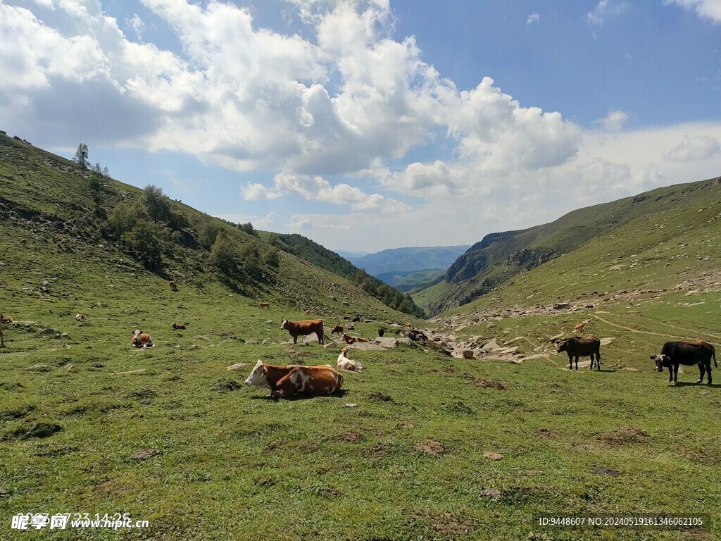 草原风景