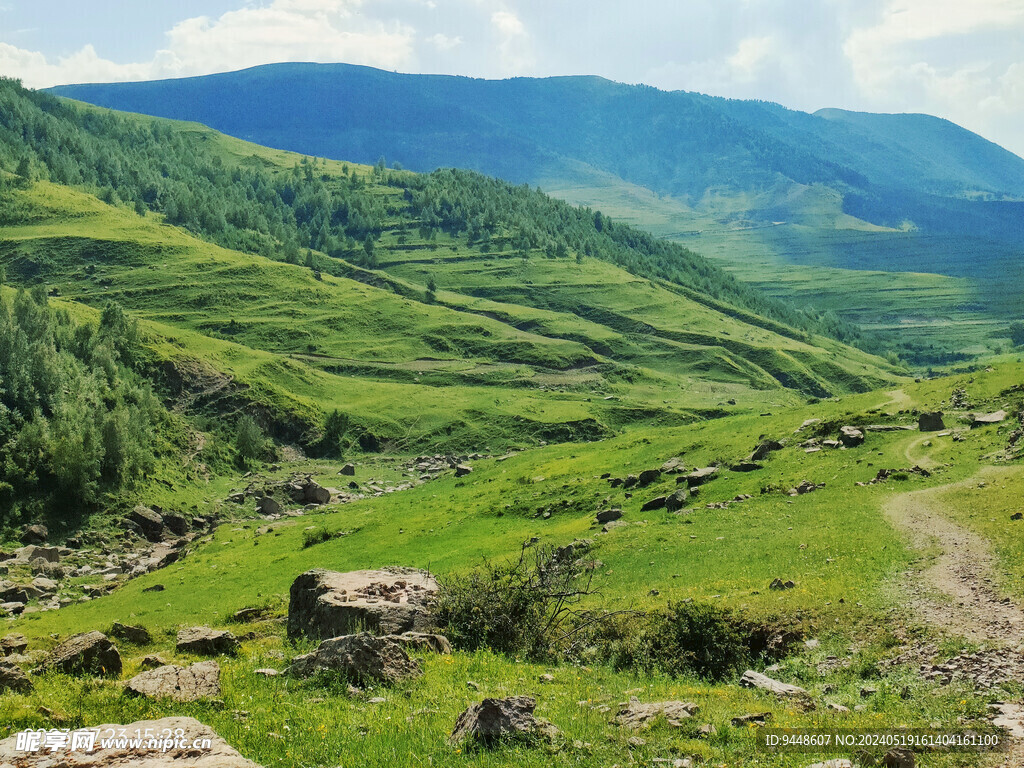 草原风景