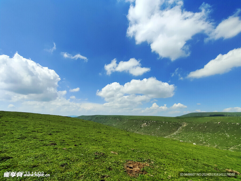草原风景