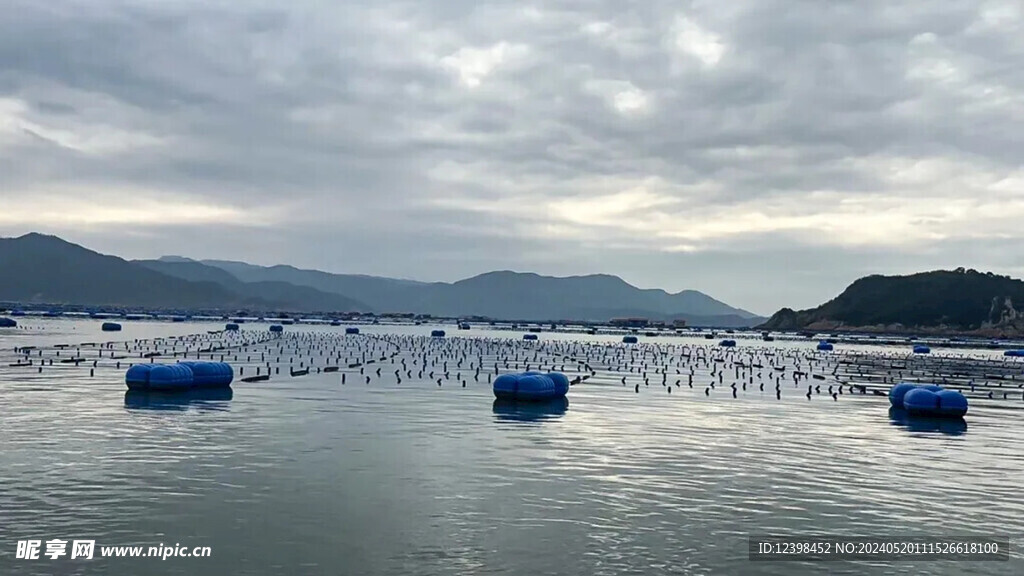 大海海滨美景