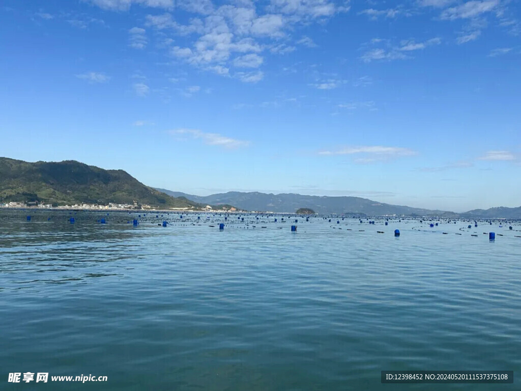 大海海滨美景