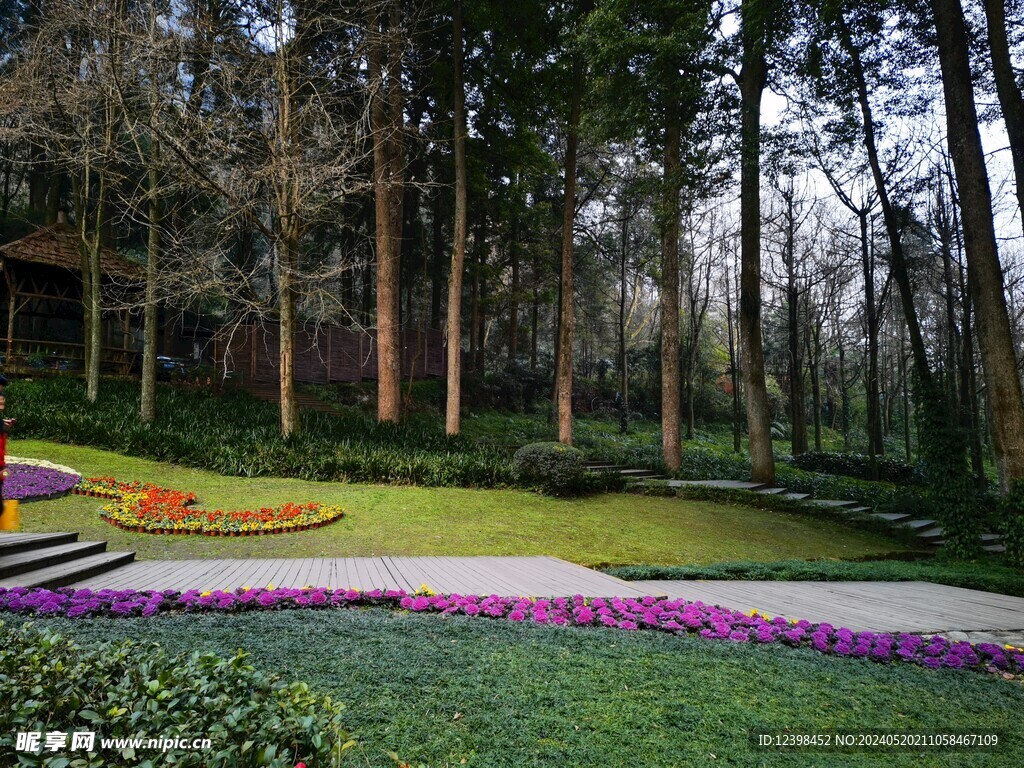 青城山花园树林