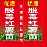 脱毒红薯灯箱