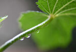雨滴