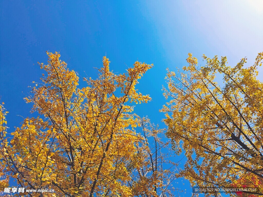 武功山风景照