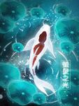 萤灵之光