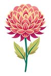 菊花矢量插图