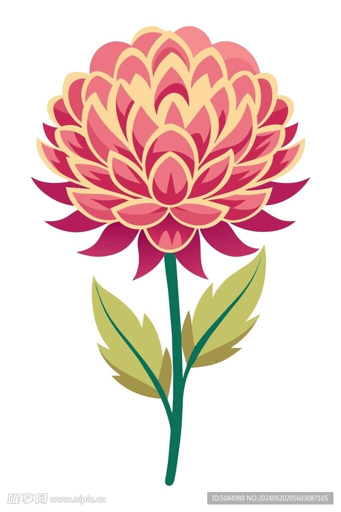 菊花矢量插图