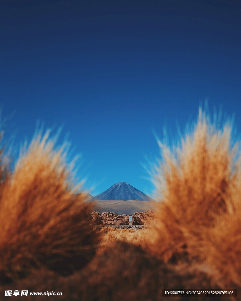 田野风光