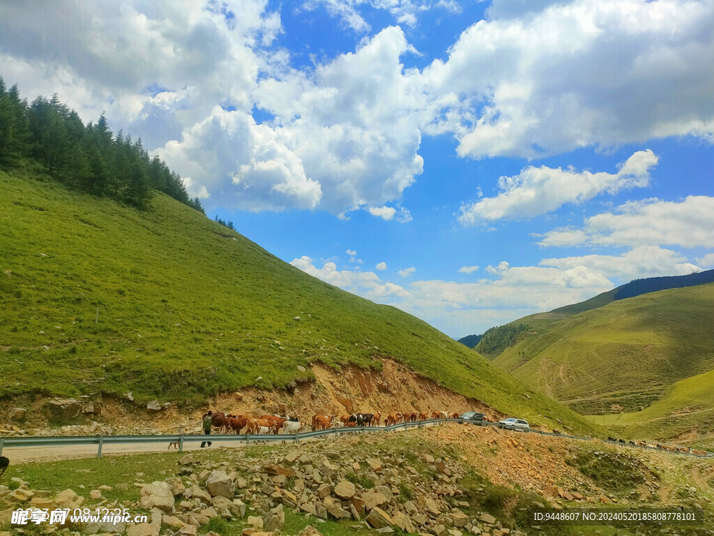 草原风景