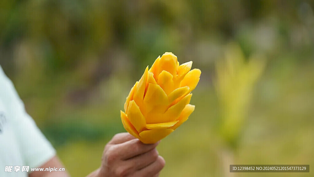 芒果